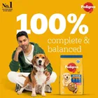 Pedigree Adult Chicken and Vegetable Dry Adult Dog Food 