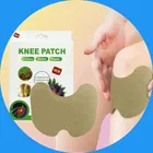 Knee Pain Relief 10 Pcs Heating Patch 