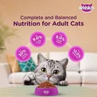 Whiskas Dry Adult Ocean Fish Cat Food 480g