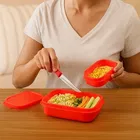 Parikshit Divine Lunch Box For Schol And Office use 