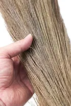 Shagun Steel Pipe Grass Broom 