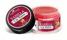 Park Daniel Vanilla Extract Natural Lip Balm 