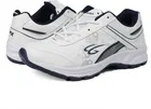 Sports Shoes for Men 