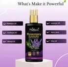 Phillauri Rosemary Hair Growth Oil 