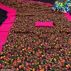 Georgette Printed Saree for Women, Pink 