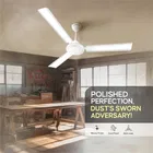 Longway Nexa P1 1200 mm 3 Blade Ceiling Fan  