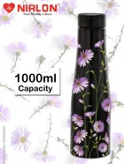 Stainless Steel Insulated Single Wall Water Bottle 