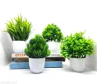 Artificial Plants with Pot 