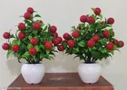 Plastic Artificial Flower With Pot,Multicolour,Set Of 2