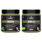 Natural Neem & Amla Powder for Skin & Hair 