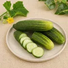 Cucumber 