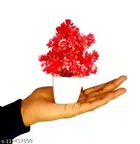 Artificial Plants with Pot 