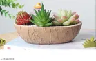 Terracotta Decorative Cute Plant Holder for Home Decor 