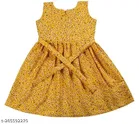 Frocks & Dresses Pack Of 2 for Girls 