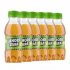 Lahori Zeera 6X300 ml 
