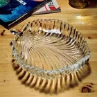 Glass Multipurpose Serving Designer Round Plate 