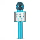 Karaoke Mic & Bluetooth Speaker for Kids