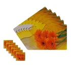 PVC Placemats for Dining Table 