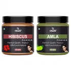 Natural Hibiscus & Amla Powder for Skin & Hair 