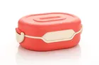 Parikshit Testy Lunch Box (pack of 1)-Orange