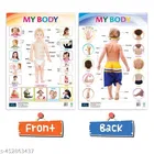 Bookford Publications Both Sides Big Laminated Charts – Fruits & Healthy Food 