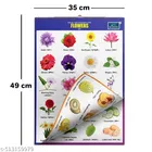 Children Spiral Educational Wall Chart with The kind Parrot, The witty dinosaurs animals shaped board book For Kids 
