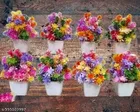 Plastic Artificial Flowers, Multioclor, Pack of 8