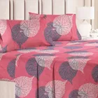 Polycotton 88x88 Inch Bedsheet with 2 Pillow Cover 