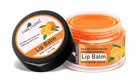 Park Daniel Orange Extract Natural Lip Balm 