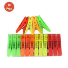 premium Cloth Hanging Clips Pack of 60 with 6 meter Rassi 