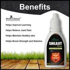 Nutrocopia Ayurvedic Shilajit Drops 