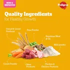 Pedigree Puppy Chicken and Milk dry new born dog food 