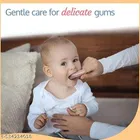 Preetaaru Baby Steel Feeding Bottle 250 Ml With Baby Finger Brush 1 Pcs