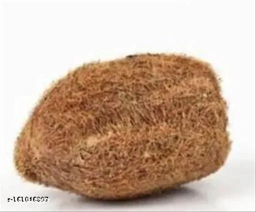 Ekakshi Nariyal