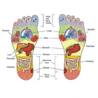 Rubber Acupressure Slipper for Women 