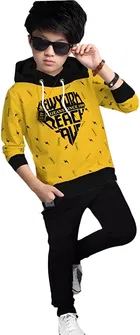 Cotton Blend Hooded Neck Sweatshirts for Boys 