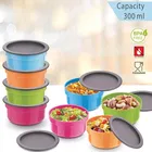 Asian 4 Pcs Leakproof Container 