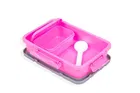 Parikshit Princess Lunch box for kids & school. 