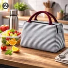 Blue Stripe Insulated thermal Lunch Bag