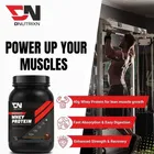 DNUTRIXN Beginner's High Whey Protein with Digestive Enzyme, Multivitamin Whey Protein  