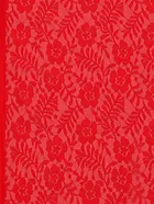 Net Floral Saree for Women 