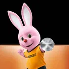 DURACELL Specialty CR2032 Lithium Coin 3V Battery 