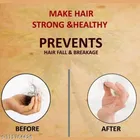 Phillauri Adivasi Hair Oil 