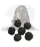 BHARDWAJ RETAILS HISTORICAL INDIA BLACK RUDRAKSHA Rudraksha, Pack of 6 (Assorted) (BR5)
