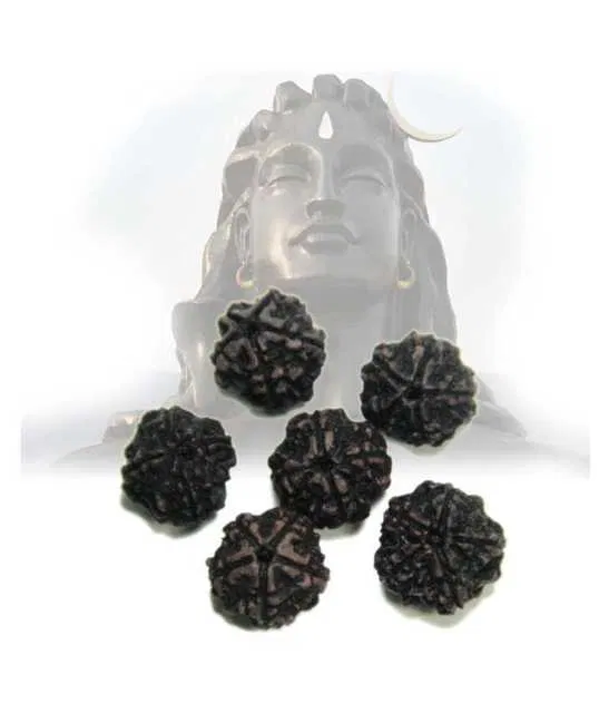 BHARDWAJ RETAILS HISTORICAL INDIA BLACK RUDRAKSHA Rudraksha (Assorted) (Pack of 6) (BR5)