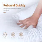 Continental Filled Stripe Pillow 16X26Inch Pack Of 1