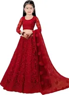 Net Embroidered Semi Stitched Lehenga for Girls 