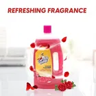 Captain Shine Disinfectant Floor Cleaner 1 L 