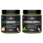 Natural Ginger & Pudina Powder for Skin & Hair 