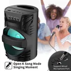 Immutable DJ Karaoke Speaker with Free Mic [Black]